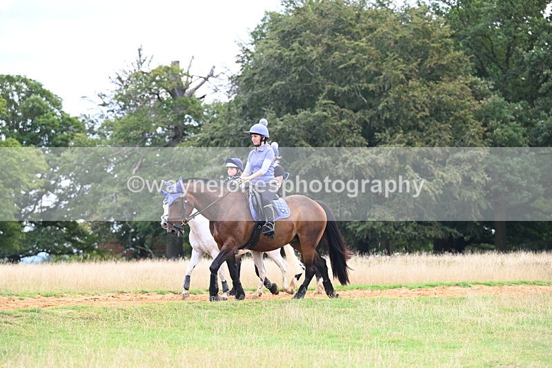 DSC_4306 - Time at Statue 09:50 to 11:09