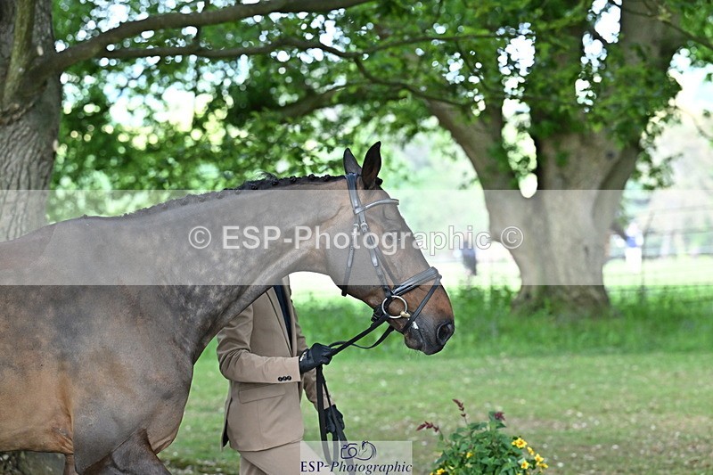 250521A-165451-01395 - C-270-Kento.Nagura-VINCI.DE.LA.VIGNE.JRA