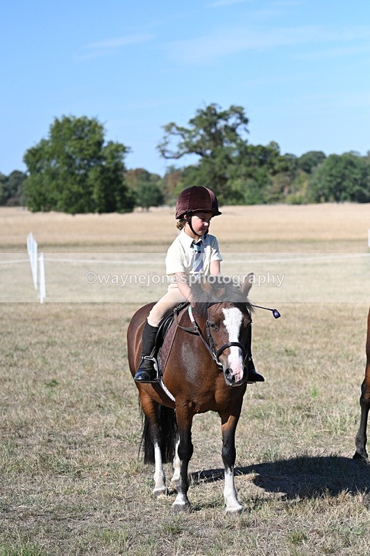 WJ7_2202 - Class 44 Child's Best Friend