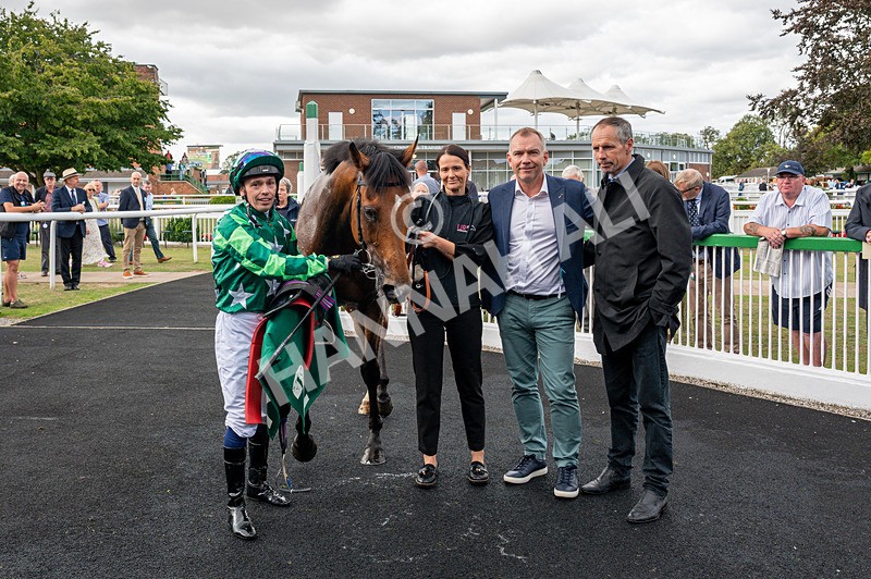 080825-Race 5-Paddy The Squire-8263 - Race 5