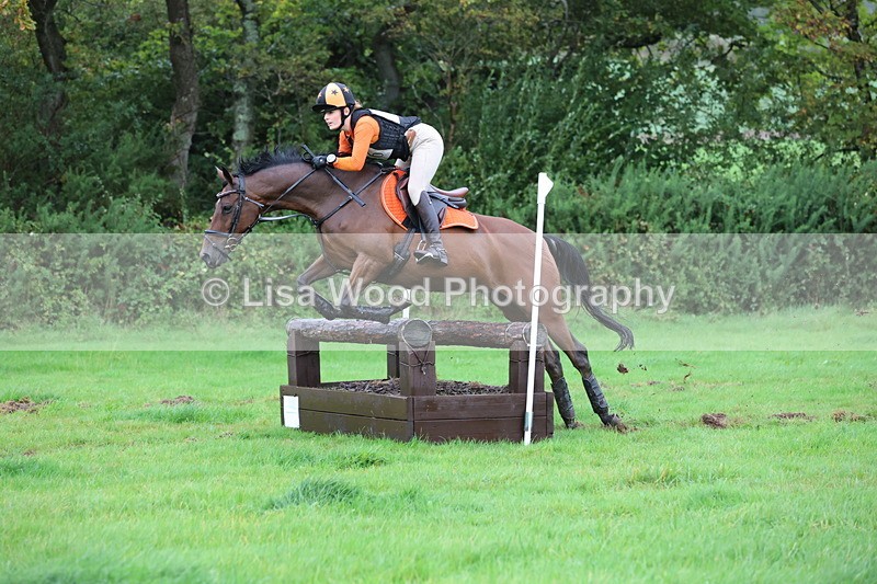 JPP_5449 - Class 4: 80cm: Crossed Logs