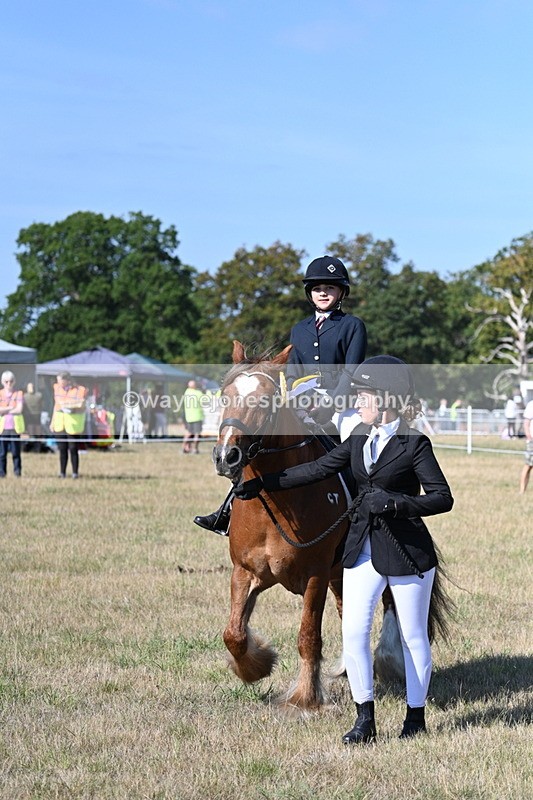 WJ7_3308 - Class 8 Ridden Tack & Turnout