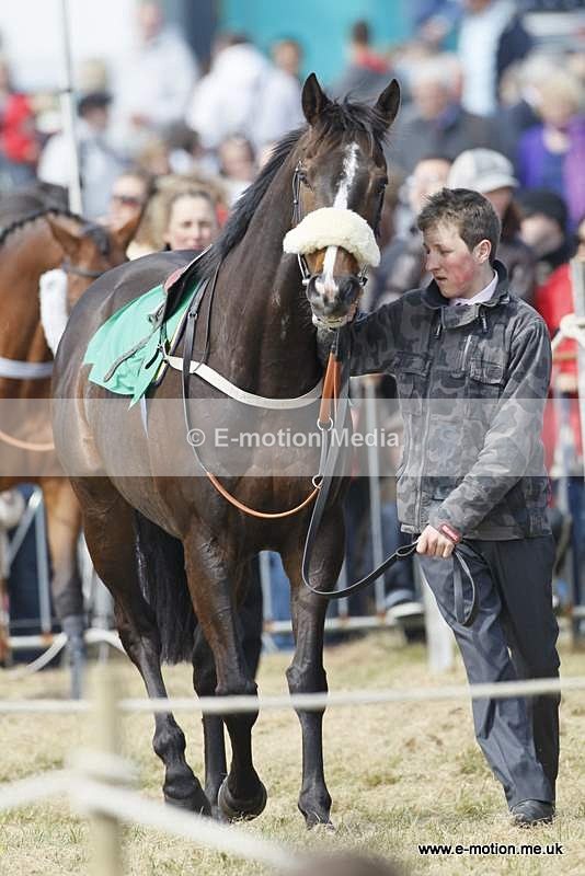  GRD 030510 111 - Guernsey Race Day 03/05/10