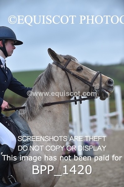 BPP_1420 - CLASS 5 Pony BritiNovice / 0.80m Open