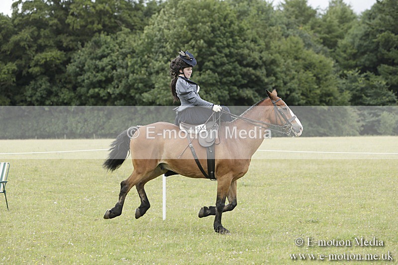 BVR160717-2429 - Side Saddle Classes 16/07/17