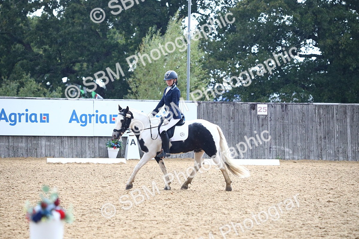 SBM_42791 - D21 - Junior Championship Intro 1