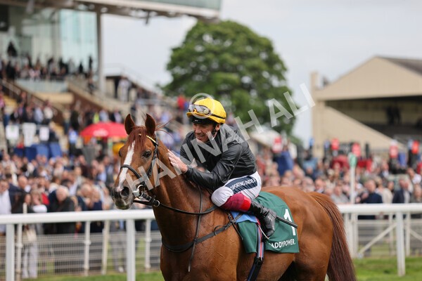 yr13052022r4-83 - Race 4 3.35pm The Paddy Power Yorkshire Cup (British Champions Series Race)