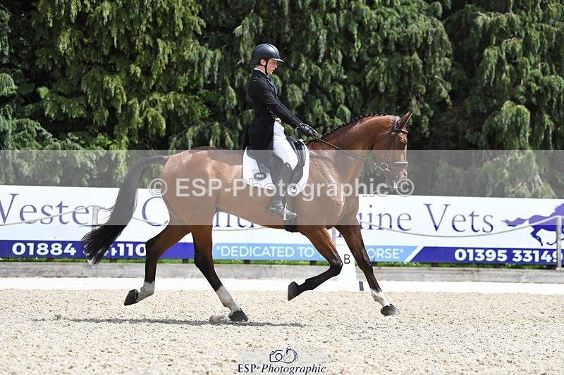 230525-140731-03097 - 318-JUST_HAVE_FAITH_TN-Alfie_Marshall-WEDTrotUp+DR