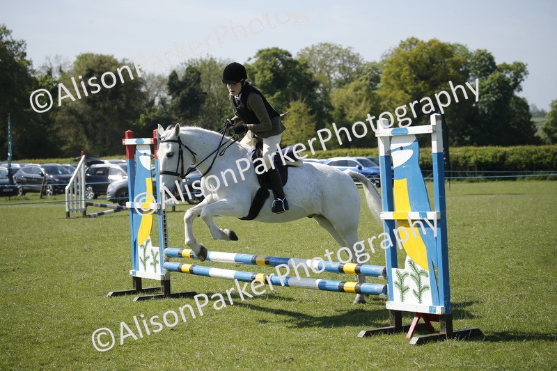 20250427-2108 - Class 13 - Novice Jumping 60cm