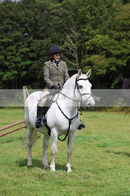 3E7A5890 - Class 26 and 27: 70cm Working Hunter