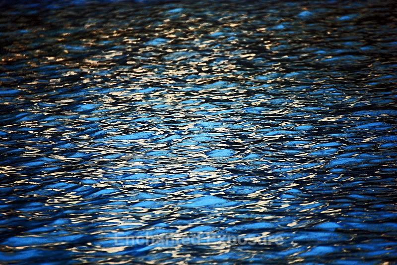 Drown Me in Gold - Waterscapes
