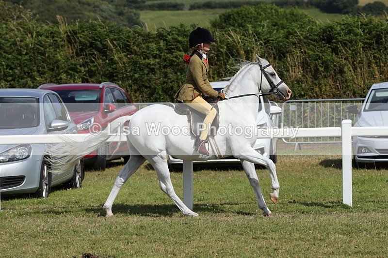 1X9A5691 - Class 40: NPS Welsh A & B