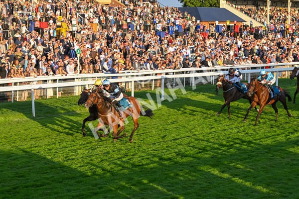 260724-Race 6-Duran-5529 - Race 6 8.20pm Sky Bet Go-Racing-In-Yorkshire Summer Festival Handicap