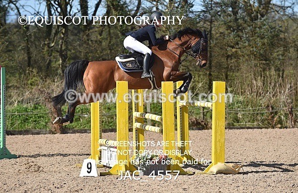 JAC_4557 - CLASS 11 SAT Andrew Hamilton Coach, RHS Foxhunter Championship Qualifier