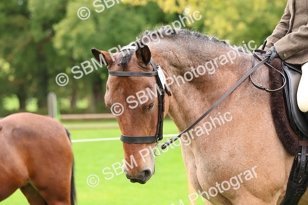 SBM_45112 - S27 - Young Veteran Ridden
