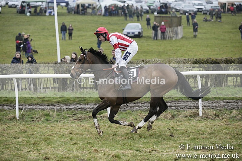 PtP 020418 -127 - Old Berks Point-to-Point Races Easter Monday 02/04/18
