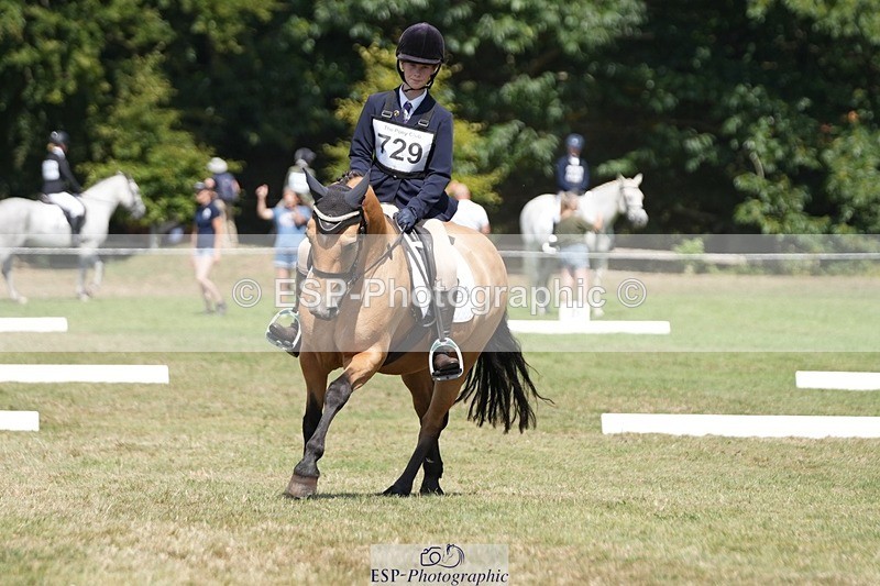 250823A-133702-31058 - Arena B