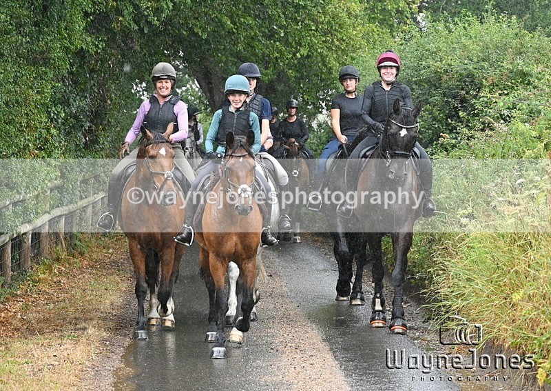 WJ7_8420 - Edited examples