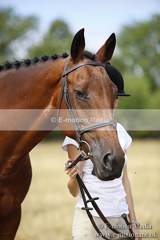 _C7A9630 - BVRC Sow 2018 Ring 2