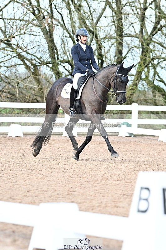 240218A-120034-06950 - 204-Elder.Klatzko-Dynasty.Hit