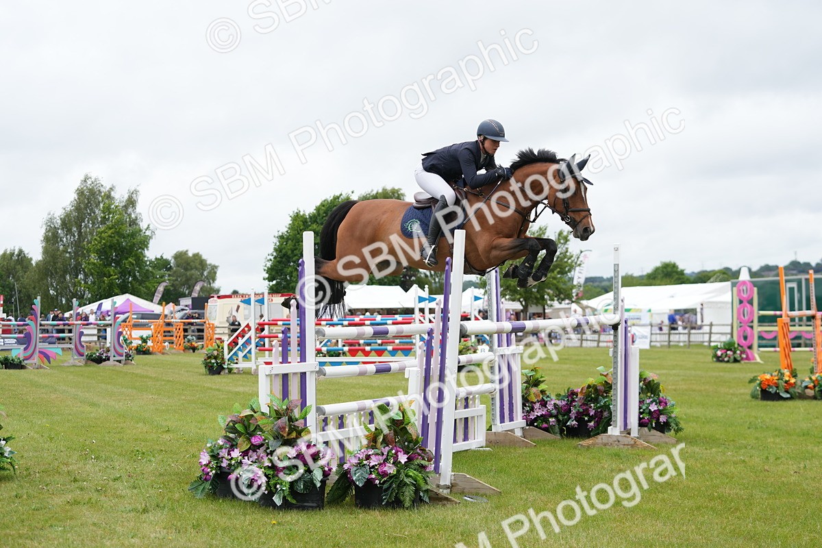 SBM_03450 - Class 201 - British Horse Feeds Speedi Beet Horse of the Year Show Grade  C