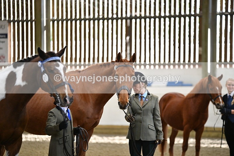 WJ5_4089 - Class 2 Best Condition In hand