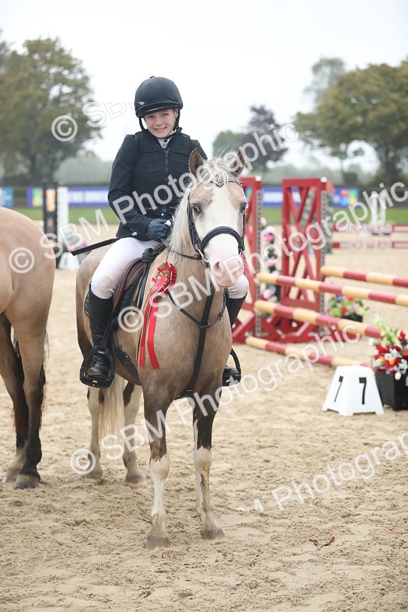 SBM_74324 - Supreme championship Junior Pony 70cm 75cm