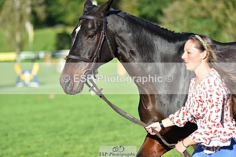 231022-101848-22404 - 430-HUNTSMAN.COM-Rachael.Watson-TrotUp+SJ