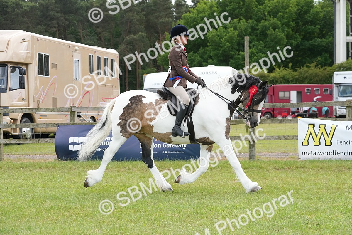 SBM_17695 - Class 107-108 - LIHS BSPS Performance Coloured Horse Pony