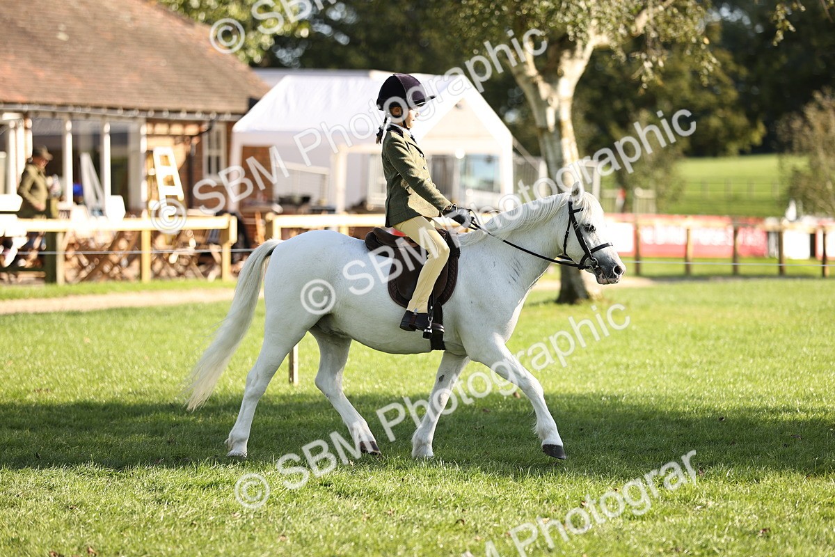 SBM_29309 - S7 - Novice & Newcomers Ridden Pony