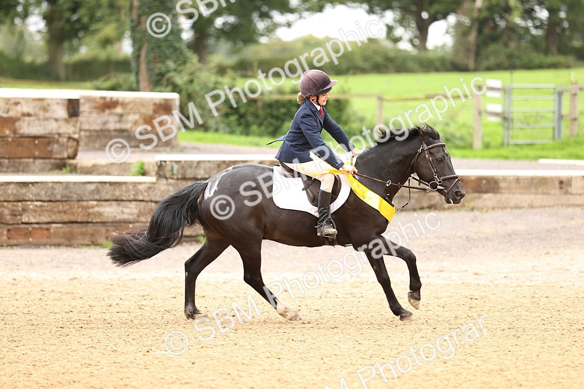SBM_66765 - J17 - Junior Pony 80cm Championship