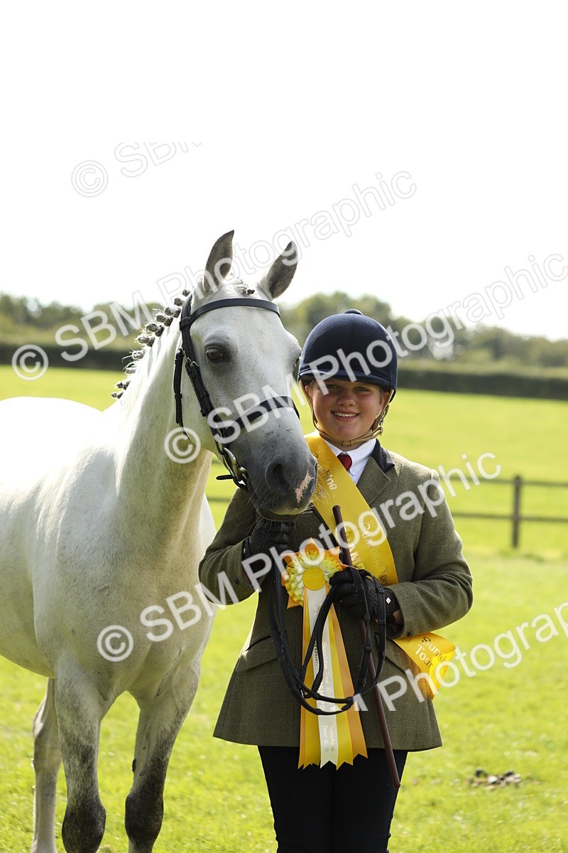 SBM_65623 - S48 - Show Pony & Show Hunter Pony In Hand