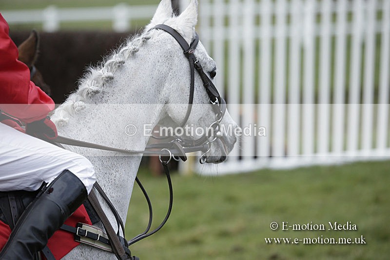 PtP 150320 0745 - New Forest Point-to-Point Larkhill 15/03/20