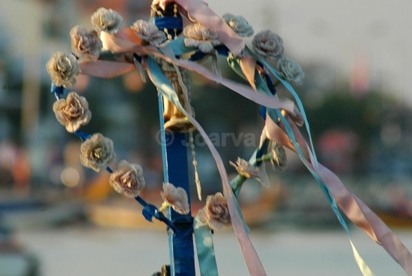 Heart in the Wind - Moliceiros