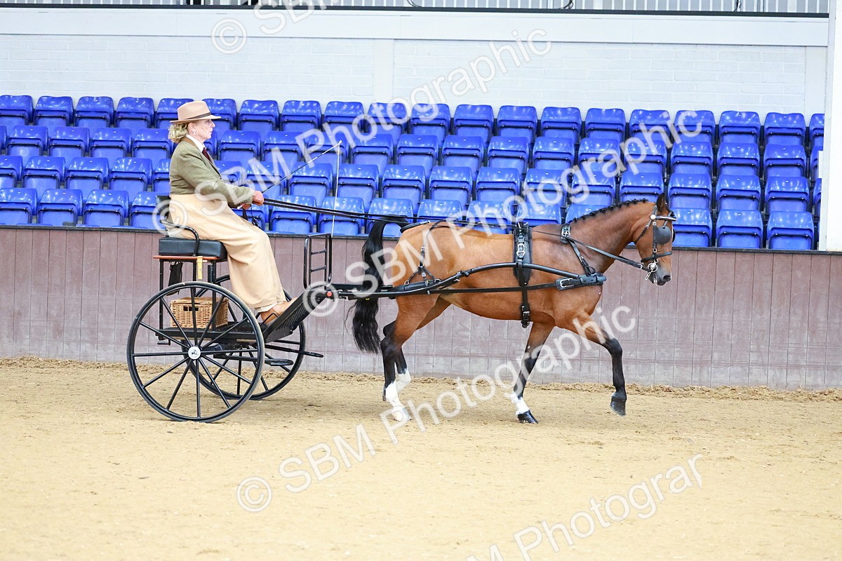 SBM_000090 - Class 3 - Alison Thomas Memorial Lady Whip