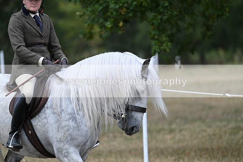 WJ7_4750 - Class 12 Ridden Cob