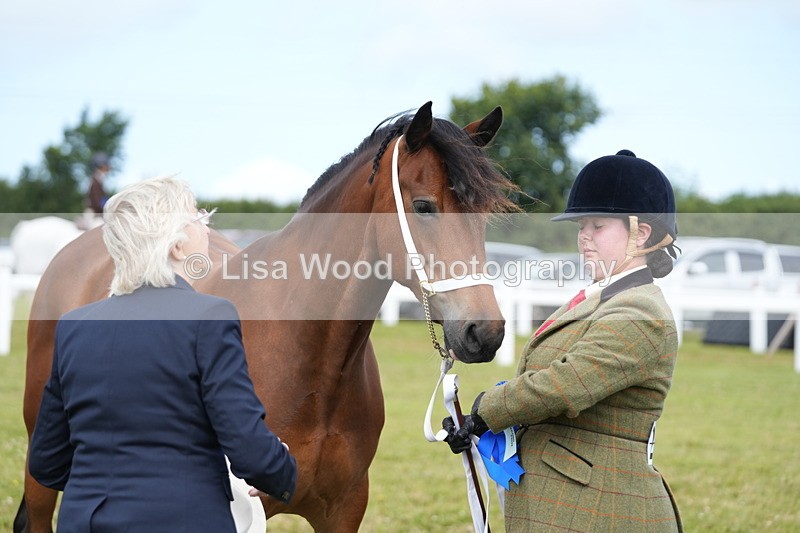 DSC05846 - Class 51: NPS M&M 4 years and over Large Breeds