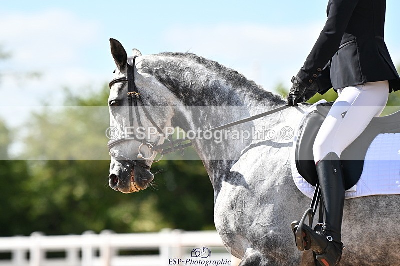 240622A-161515-13056 - Cls 6B+C Novice 30 RoR