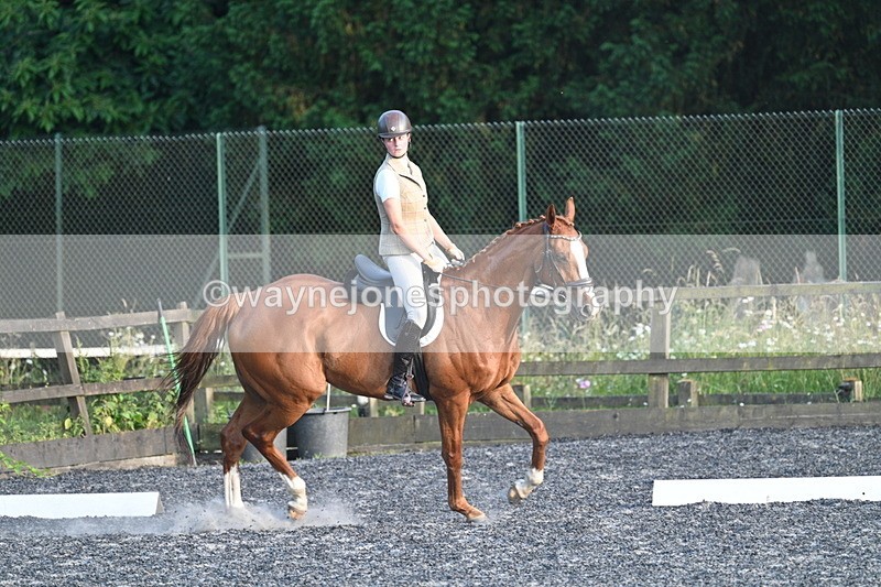 WJ7_0263 - Time 19:38 to 20:00