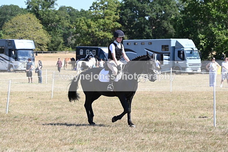 WJ6_8312 - Class 37a Best Loan Pony Ridden