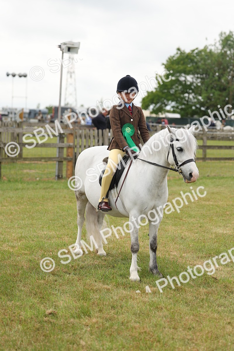 SBM_06907 - Class 74-75 - M&M Lead Rein and First Ridden Pony