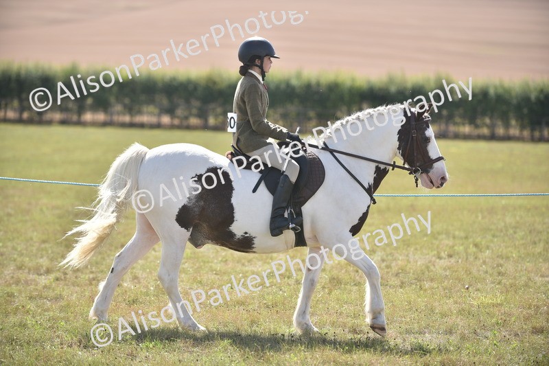 20260906-2645 - Class 12 - 14.2hh and Under