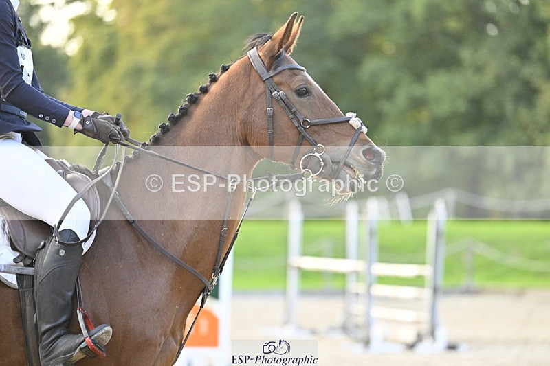 251005A-181707-05672 - Cls 12 Adv 1.10m Ind