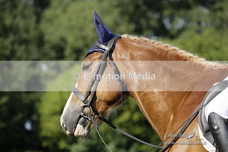 BVRC 120921 219 - Bourne Valley Riding Club UA Dressage & Show Jumping 12/09/21