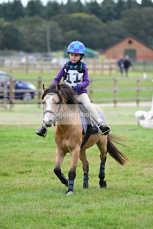 WJ7_7183 - 40cm Time 10:06 to 10:24