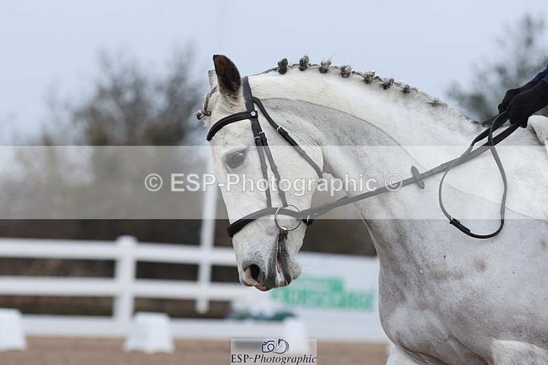 250216-094823-04795 - 158-Sophie.Miller-Brookswood.Arctic.Sparkle