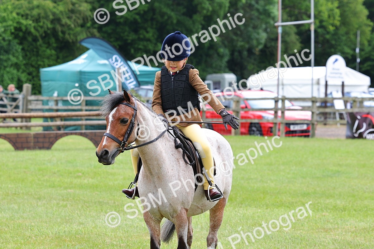 SBM_08603 - Class 42-43 - LIHS BSPS Heritage Working Sports Pony