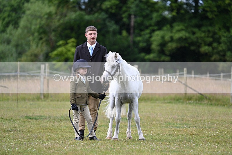 WJ7_4647 - Class 1 Lead Rein Pony