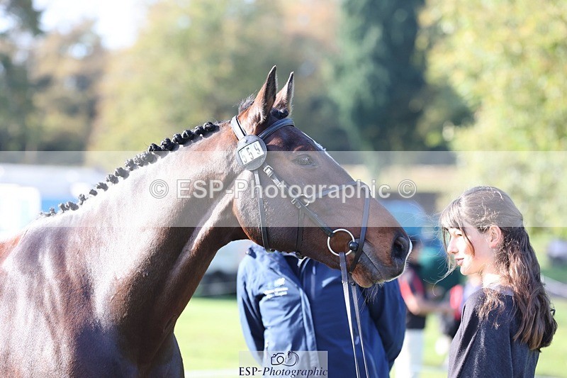 241027-103000-15927 - 559-Anastasia.Terray-KAROUBE