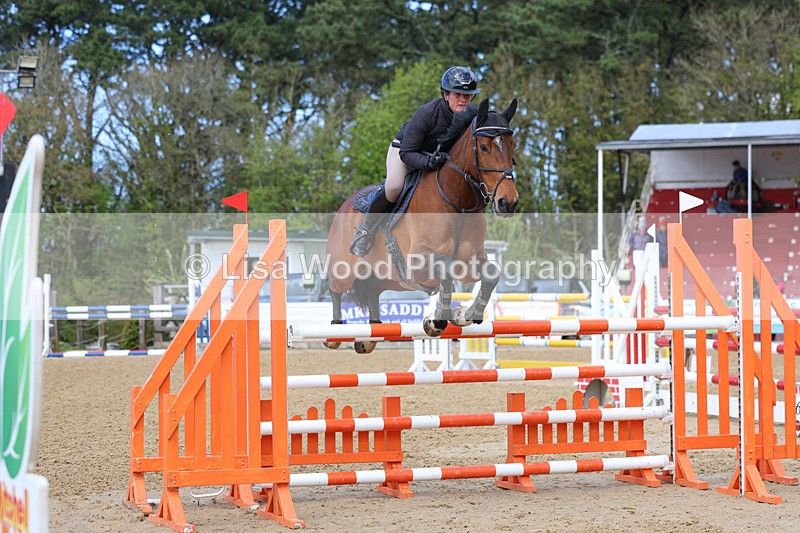 3E7A2035 - Class 8: Senior Foxhunter/1.20 open